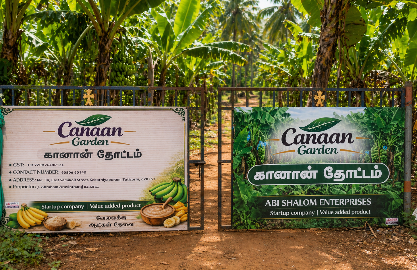 Banana farm