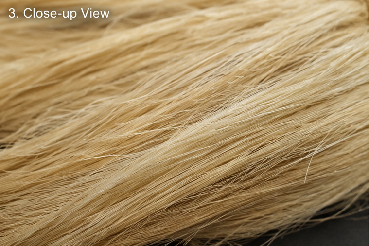 Banana Fibre Extract - View 1