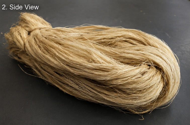 Banana Fibre Extract - View 2